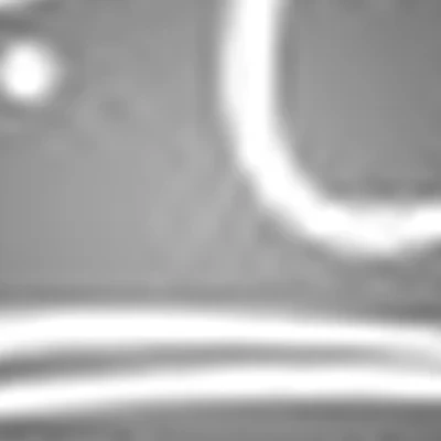 Студия Анастасии Соловьевой