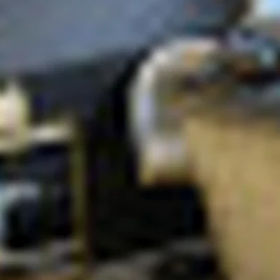 ПАРНАС ЛИСИЧКА С РЕСНИЧКАМИ