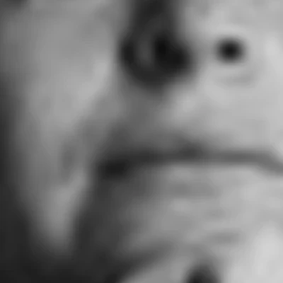 Рытова Анна