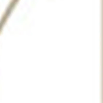 Studio by Anna Tregubova