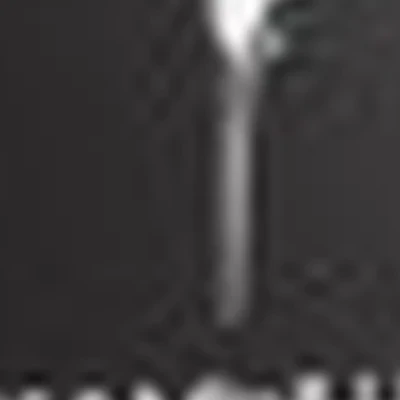 Клуб красоты КАМЫШИ