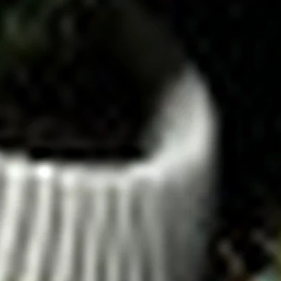 Студия красоты «Кактус»