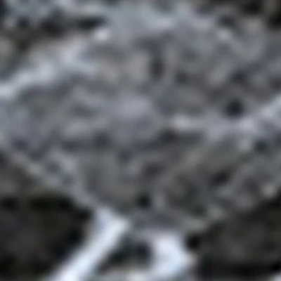 Ленинградская99 Barbershop The Goose