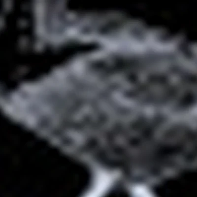 Речная1А Barbershop The Goose