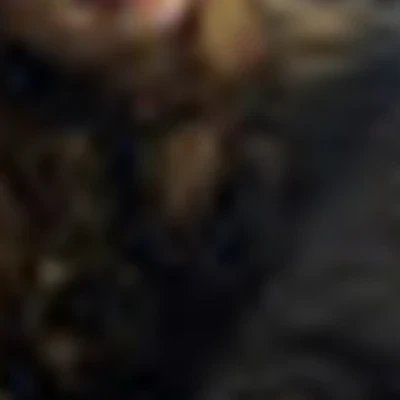 Дарья Хибакова