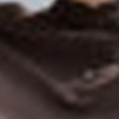 Элина Эльжаркиева