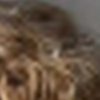 Салон красоты Белая Зависть