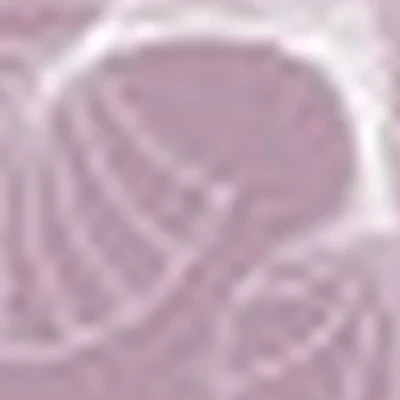 Пространство Красоты Calibri