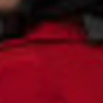 Анастасия  Лесникова