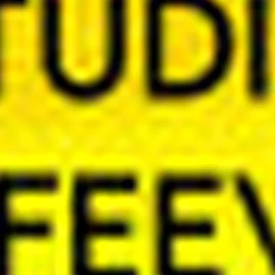 Studio Fffeeva