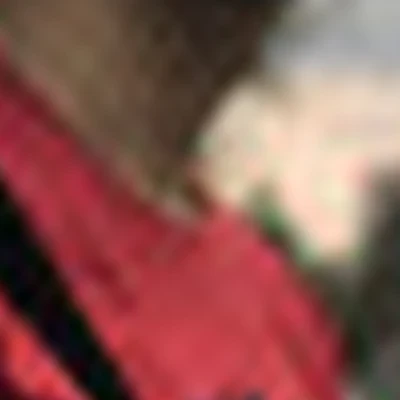 Анисков Дмитрий