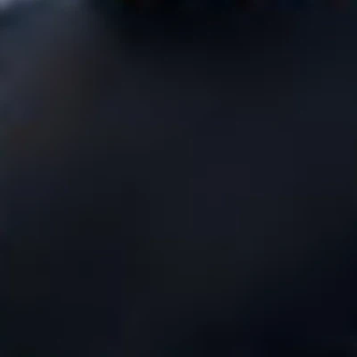 Barber_rostovdon