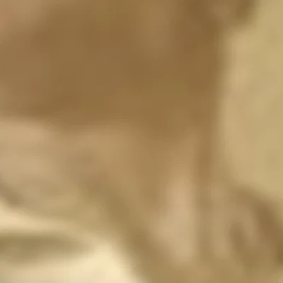 Татьяна Чернова