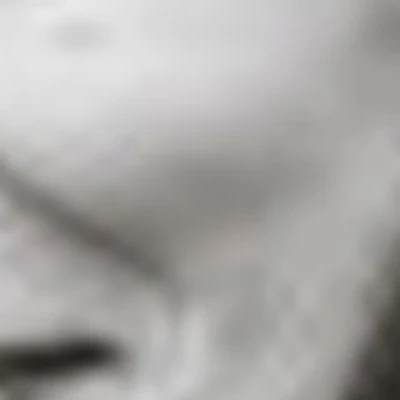 Зона Маникюра Pitstop.nails