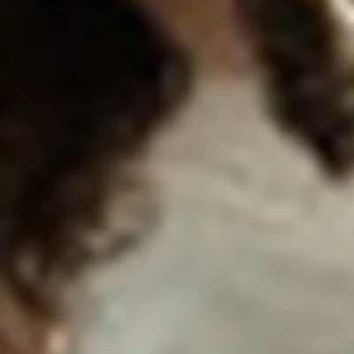 Яна