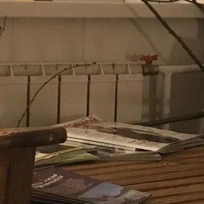 Алтайская Здравница в Абакане Республика Хакасия, Абакан, улица Ивана Ярыгина, 24, 1 этаж