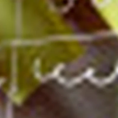 «ПолиСтиль»