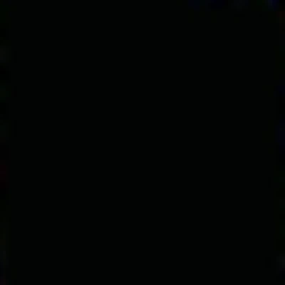 ЗООстудия школа Ирина Рыбкиной