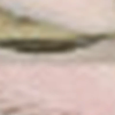 Анастасия Сахар