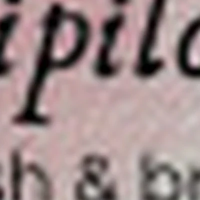 Alena Shipilova lash&brow studio