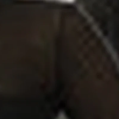 Екатерина и Юлия