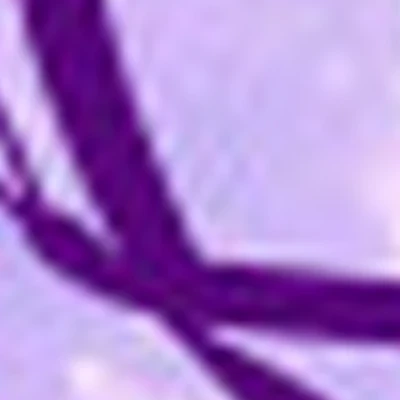 Студия "Purpur"