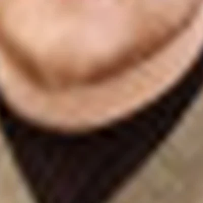 Александр Шульгин