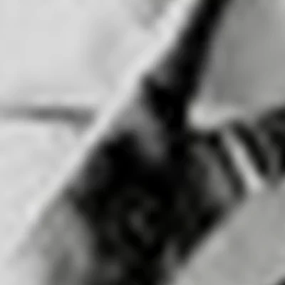 Анастасия Мозгова