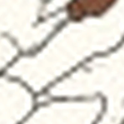 Дикий Заяцъ