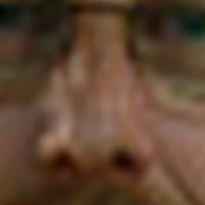 Роман Блюшке