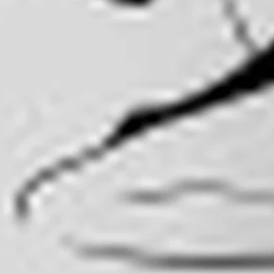 Студия Ирина