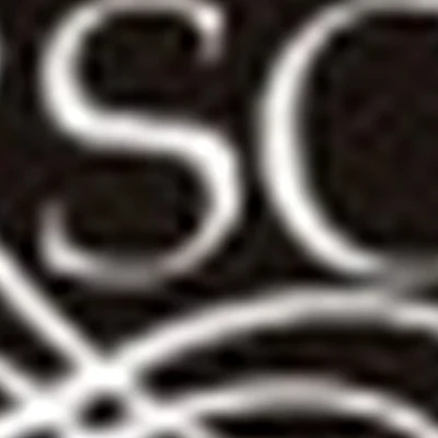 Persona