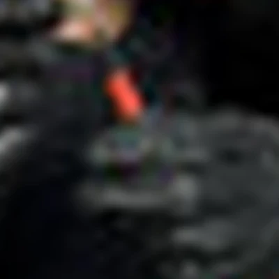 Ольга Агеева