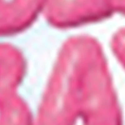 HOLLY BAY lash&beauty