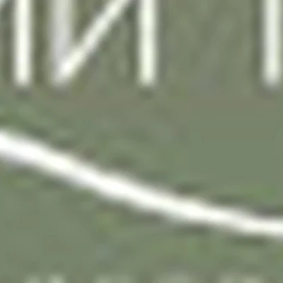 ЛИНИИ ТЕЛА
