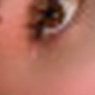 Елизавета Вайсбрут