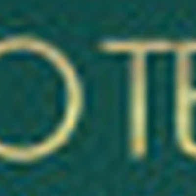 Студия «Protelo», ул. Московская, 98