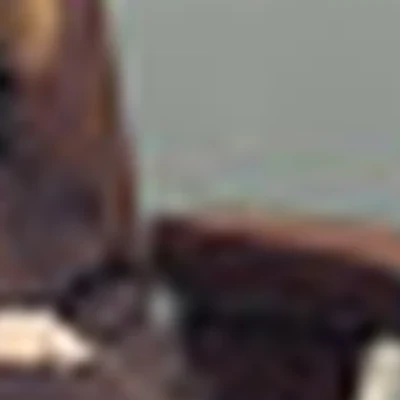 &