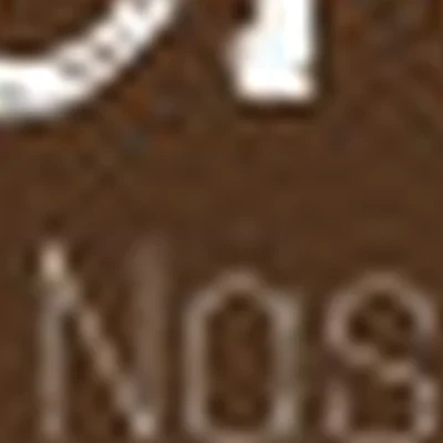 DNstudio