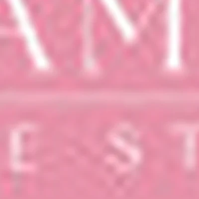 AM Image Studio