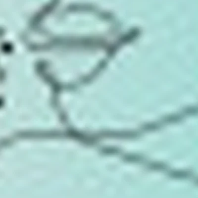 ✨✨Lash&Brow New U Studio✨✨