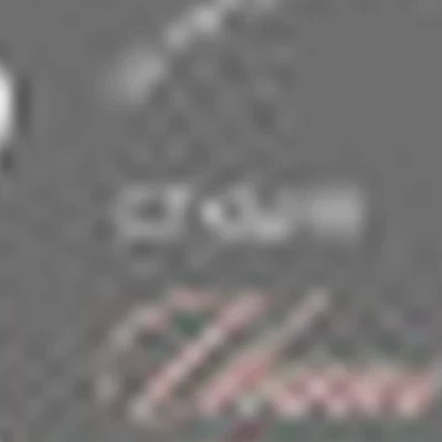 Студия Инны Калининой