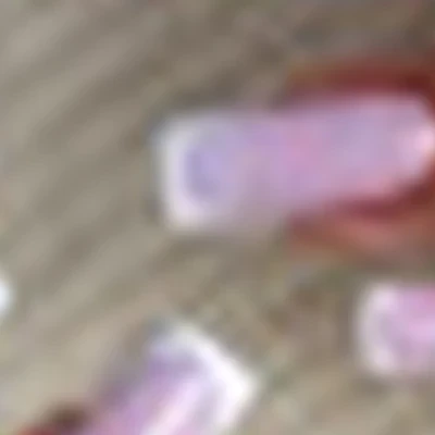 Мир красоты