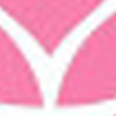 LADY VIP II