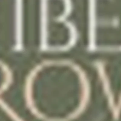 Студия «VibeBrow»