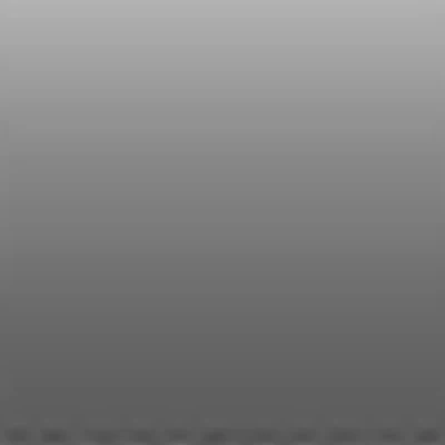 BARBER ABRAMOVA A. V.