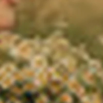 Дарья Комарькова