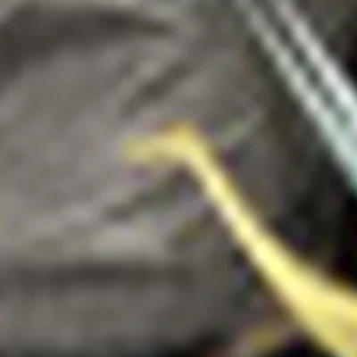 Юлия Сорометко