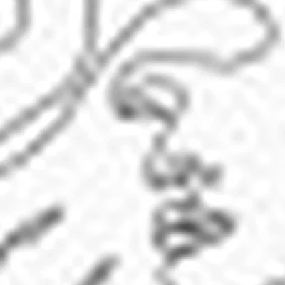 Студия красоты «Львица»