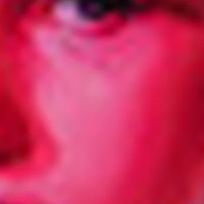 Наталья Шапочанская